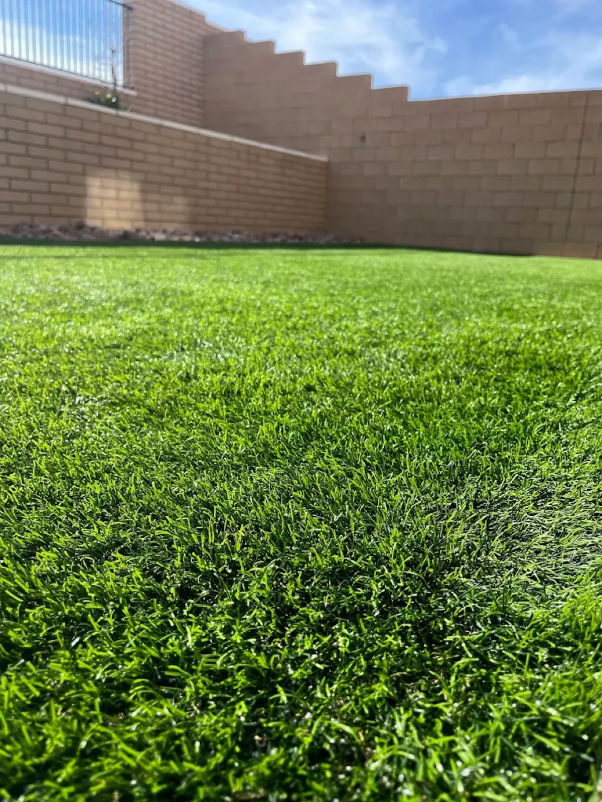 Close-up of clean turf fibers against block wall