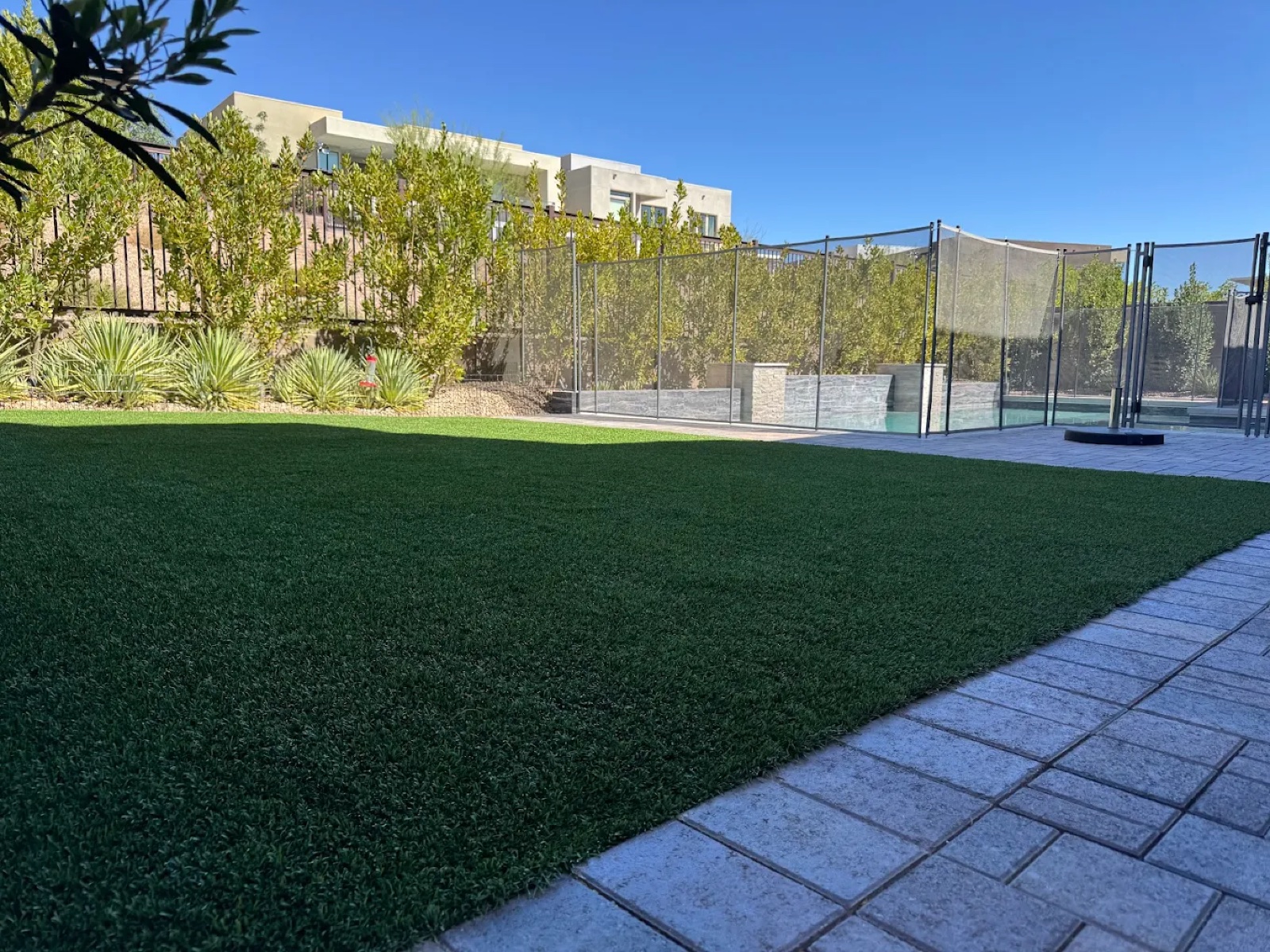 Turf with batting cage and paver walkway