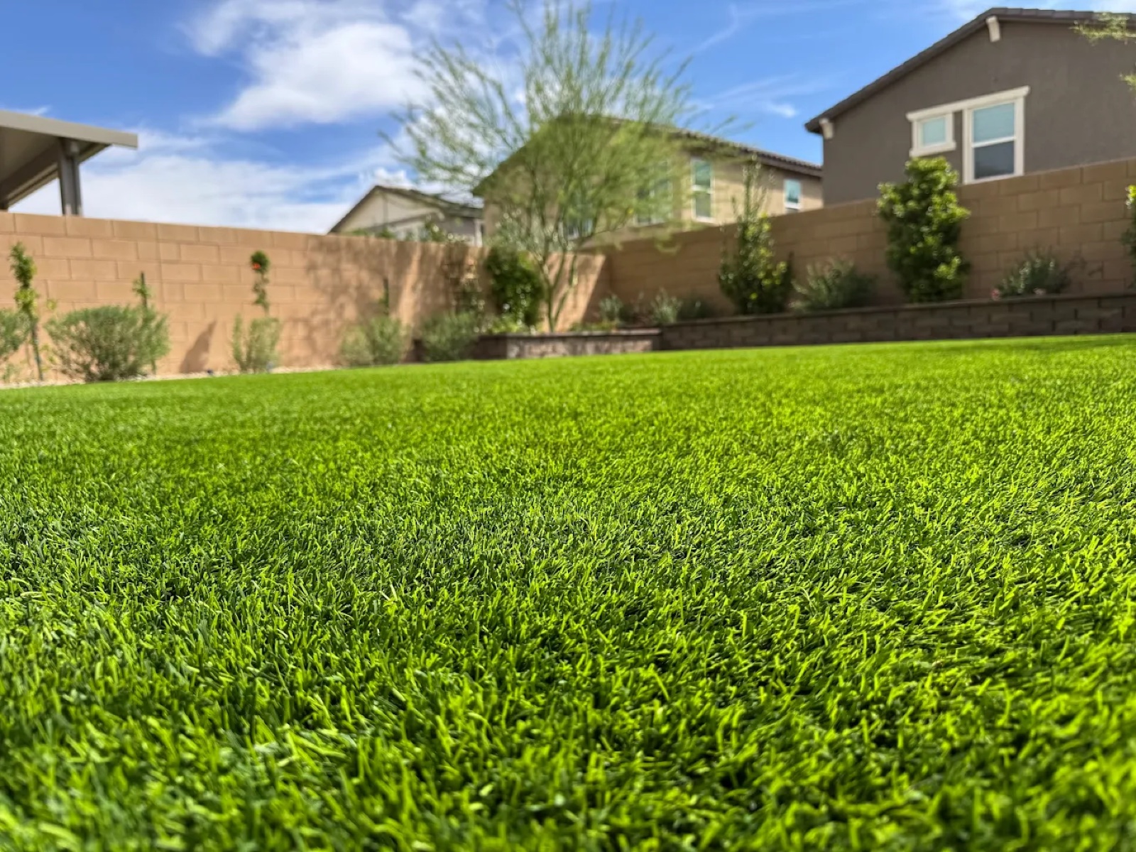 Professional artificial turf cleaning in Las Vegas