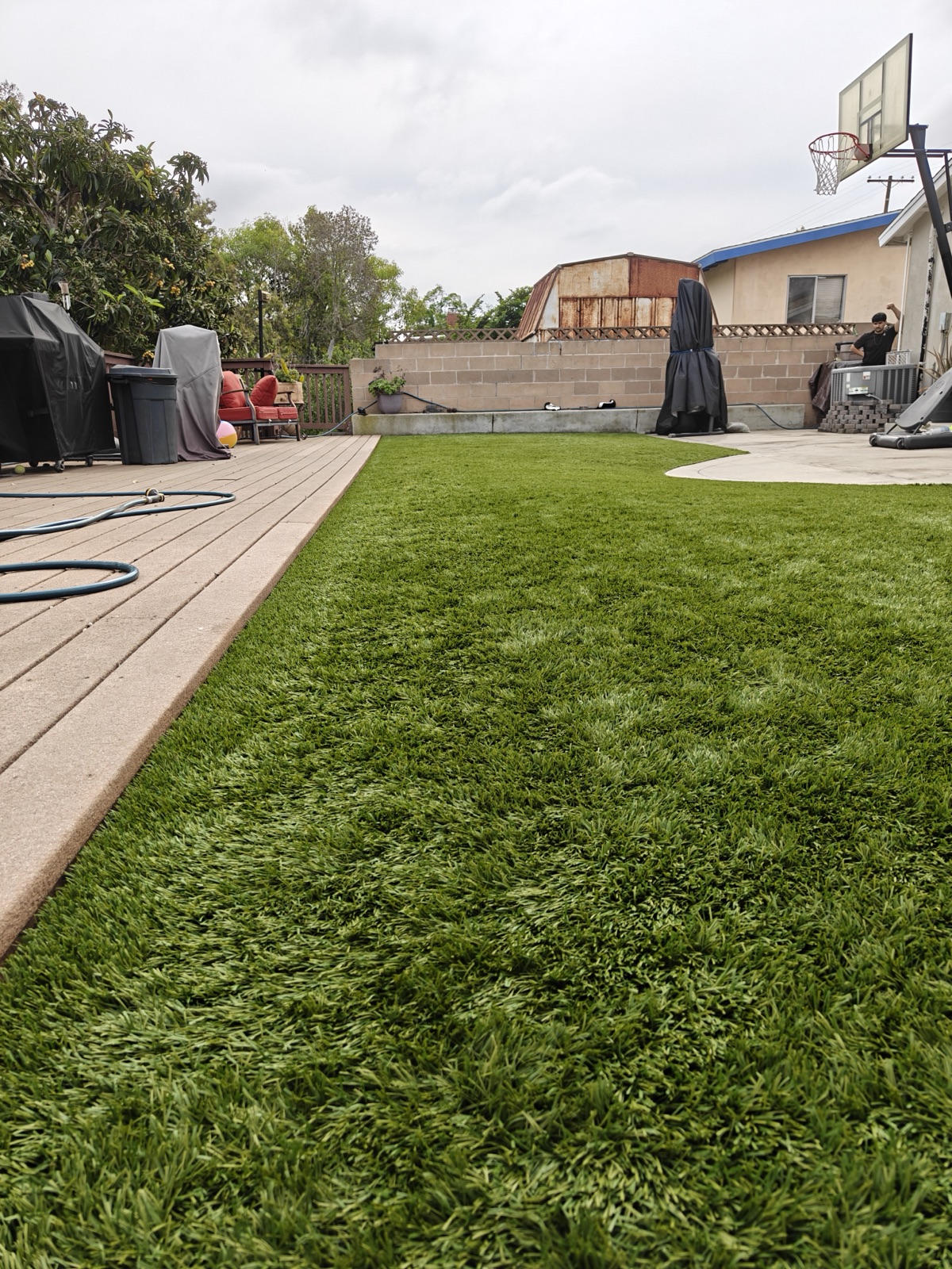 Pet-friendly artificial turf cleaning in Summerlin NV backyard