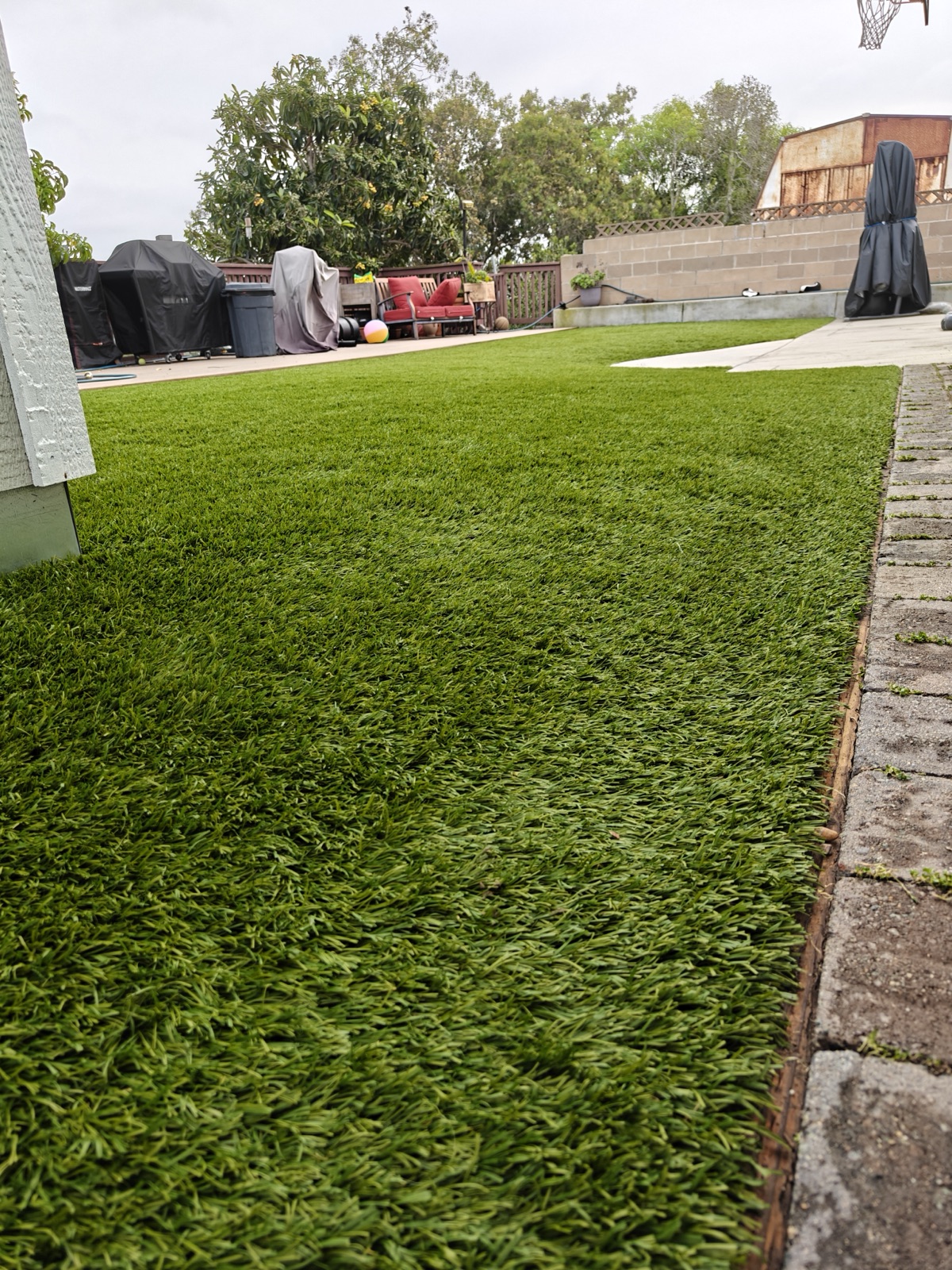 Turf along brick edging freshly cleaned